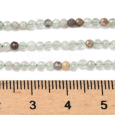 Natural Green Lodolite Quartz/Garden Quartz/Green Phantom Quartz Beads Strands G-G271-E01-2mm-1
