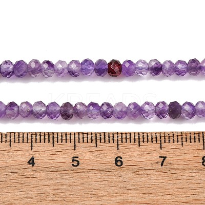Natural Amethyst Beads Strands G-N342-24-01-1