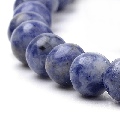 Natural Brazil Blue Spot Jasper Beads Strands G-S259-36-10mm-1