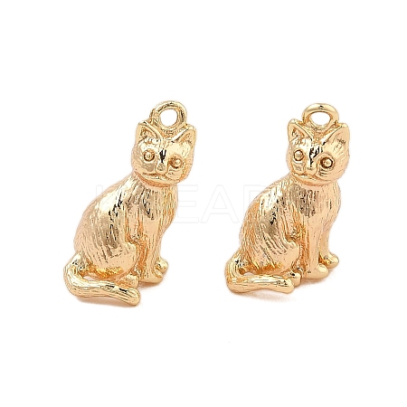 Brass Pendants KK-L223-022G-1