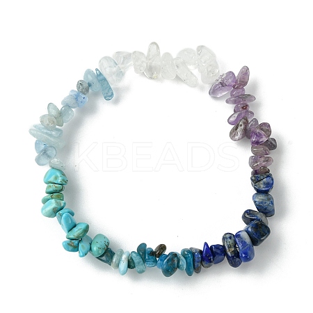 Natural Quartz Crystal & Lapis Lazuli & Apatite & Amethyst & Dyed Howlite Chip Beaded Stretch Bracelets for Women BJEW-JB10817-1