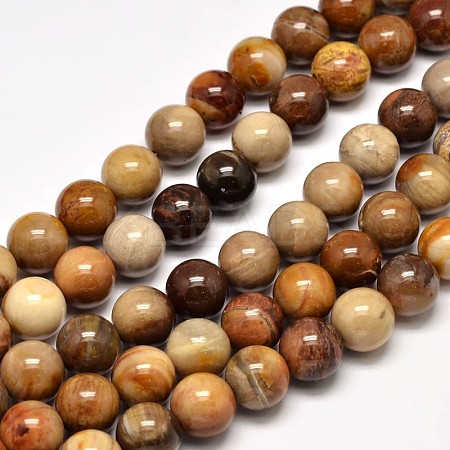 Natural Petrified Wood Round Bead Strands G-F266-08-10mm-1
