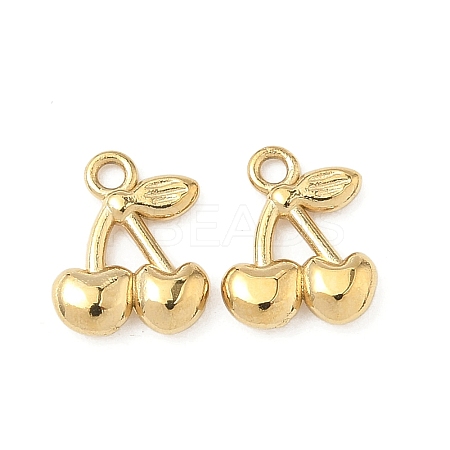 304 Stainless Steel Charms STAS-C134-28G-1