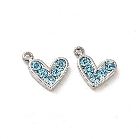 304 Stainless Steel Pendants STAS-L025-005P-02-1