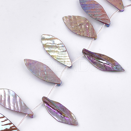 Freshwater Shell Beads Strands SHEL-T012-51D-1