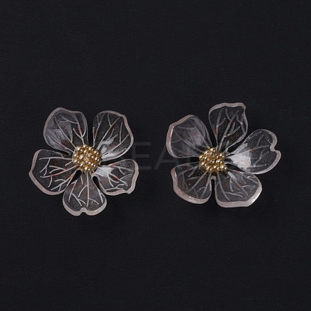 Transparent Resin Cabochons RESI-L035-19-1