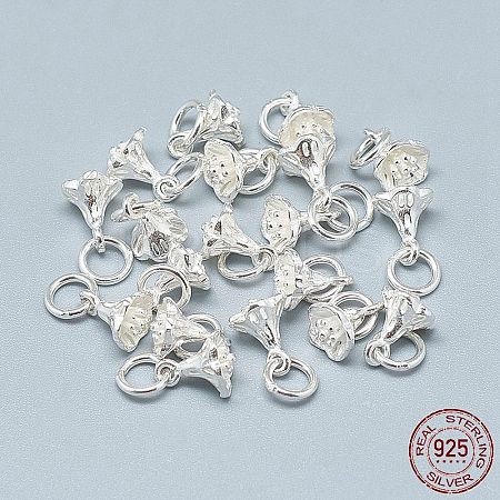 925 Sterling Silver Charms STER-T002-49S-1