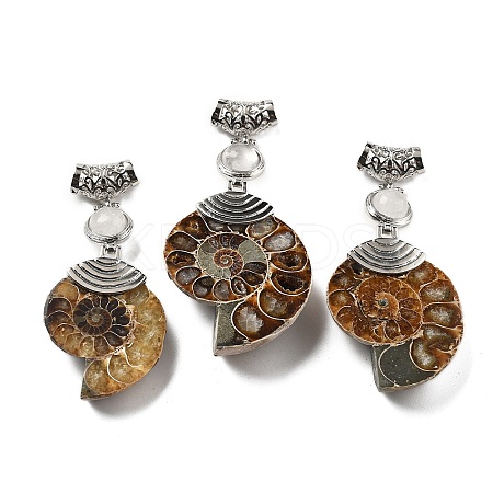 Natural Quartz Crystal Fossil Snail Pendants G-F062-01-1