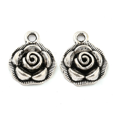 Alloy Pendants X-FIND-G065-14AS-1