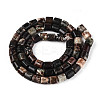 Natural Biotite Beads Strands G-T141-88A-2