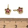 304 Stainless Steel Micro Pave Cubic Zirconia Charms STAS-U027-02G-02-3