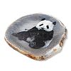 Printed Natural Agate Slice Stone Ornament DJEW-M011-03F-3