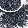 MIYUKI Round Rocailles Beads X-SEED-G008-RR2009-1