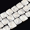 Plating Natural Freshwater Shell Beads Strands SHEL-N026-230B-1
