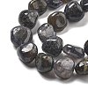 Natural Iolite Beads Strands G-C179-F06-01-4
