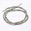 Natural Labradorite Beads Strands G-P322-31-4mm-2