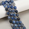 Natural Blue Aventurine(Dyed & Heated) Beads Strands G-N342-149I-12-1