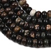 Natural Biotite Beads Strands G-L647-D05-4x6mm-4