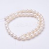 Natural Cultured Freshwater Pearl Beads Strands PEAR-P002-55-01-2