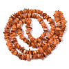 Natural Freshwater Shell Beads Strands SHEL-S278-071B-2