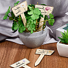 2 Bags Wooden Plant Labels DIY-CP0012-70-7