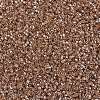 MIYUKI Delica Beads SEED-MY11-DB1221-3