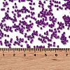 Baking Paint Glass Seed Beads X-SEED-S042-05B-73-4