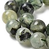 Natural Prehnite Beads Strands X-G-P322-48-10mm-01-4