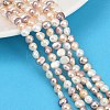 Natural Cultured Freshwater Pearl Beads Strands PEAR-P064-19G-02M-1