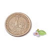 6pcs Resin Imitation Pearl Charms PALLOY-JF03423-2
