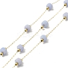 Ion Plating(IP) 316 Surgical Stainless Steel Paperclip Chains CHS-I019-12O-1