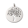 304 Stainless Steel Pendants STAS-P393-03P-1