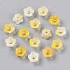 Frosted Transparent Acrylic Beads LS-X-OACR-N137-72G-2