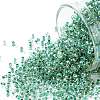 TOHO 11/0 Round Beads SEED-XTR11-0699-1