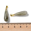 Natural Labradorite Teardrop Pendants G-Q005-03G-07-3