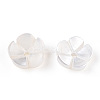 Natural White Shell Beads SSHEL-S260-053-4