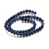 Natural Sodalite Round Bead Strands G-P072-27-4mm-3