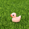 Mini Duck Resin Display Decorations FIND-SZC0013-353-1