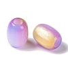 Triple Color Resin European Beads RESI-F055-13I-2