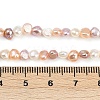 Natural Cultured Freshwater Pearl Beads Strands PEAR-P064-19B-13M-4