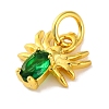 Rack Plating Brass Micro Pave Cubic Zirconia Charms KK-F881-02G-06-2