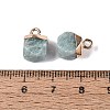 Natural Amazonite Pendants G-N359-18G-18-3