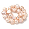 Natural Cultured Freshwater Pearl Beads Strands PEAR-A006-10F-3