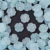 Frosted Transparent Acrylic Beads OACR-P029-19B-06-1