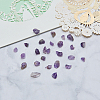 Natural Amethyst Chip Beads G-CJ0001-23-8