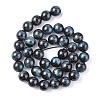 Natural Tiger Eye Beads Strands G-G448-10mm-19AB+-3