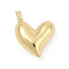 Brass Pendants KK-D317-200G-03-1