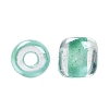 6/0 Glass Seed Beads X-SEED-A015-4mm-2219-3