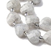 Natural Labradorite Beads Strands G-P570-E18-01-4