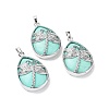 Dyed Natural Howlite Pendants G-G900-01P-21-1